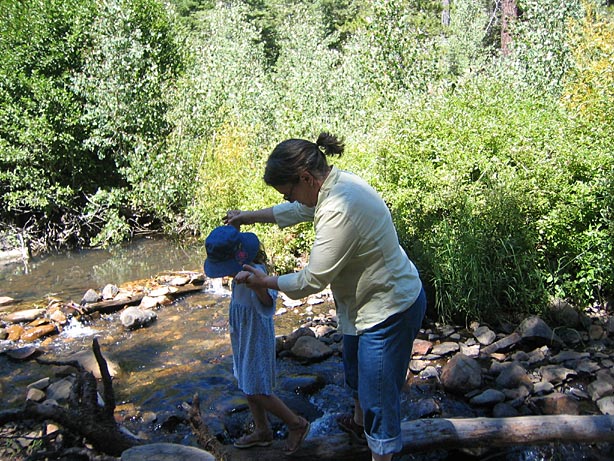Truckee_50