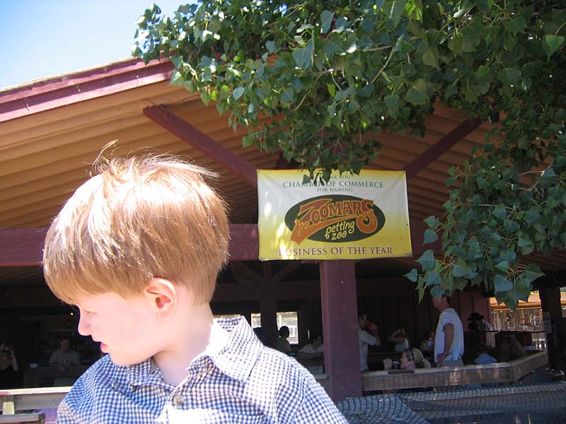 08-17-08_petting-zoo_Severin_01