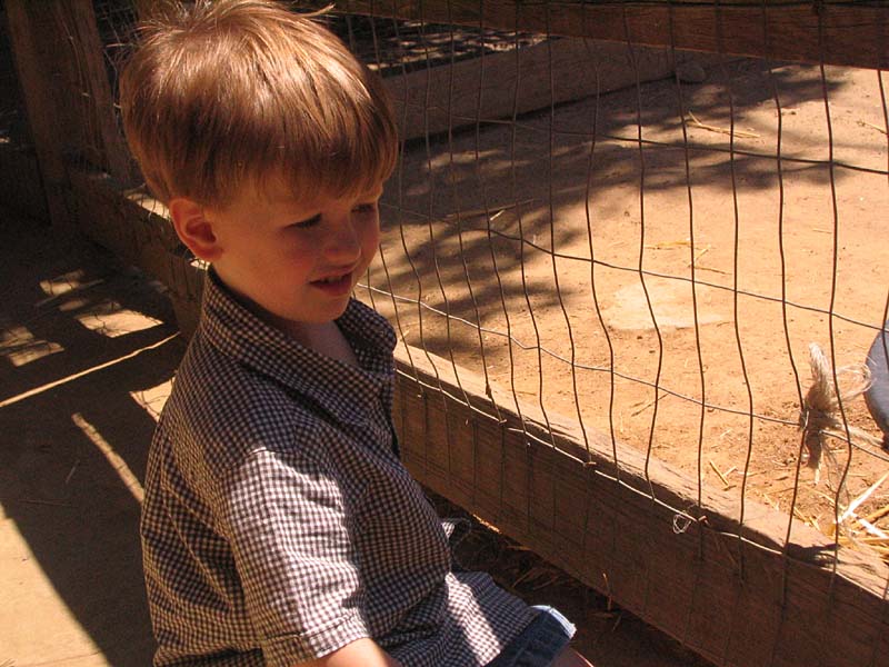 08-17-08_petting-zoo_Severin_103