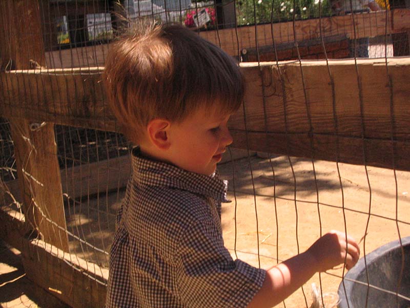 08-17-08_petting-zoo_Severin_104