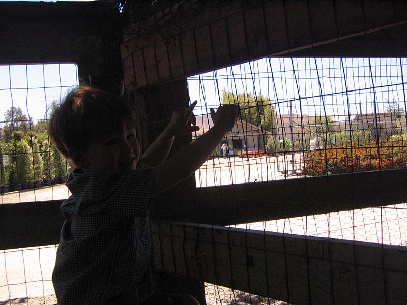 08-17-08_petting-zoo_Severin_112