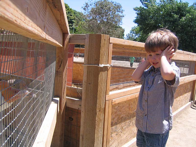 08-17-08_petting-zoo_Severin_15