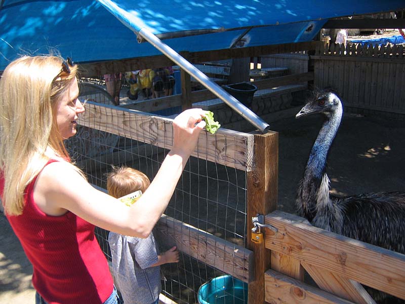 08-17-08_petting-zoo_Severin_30