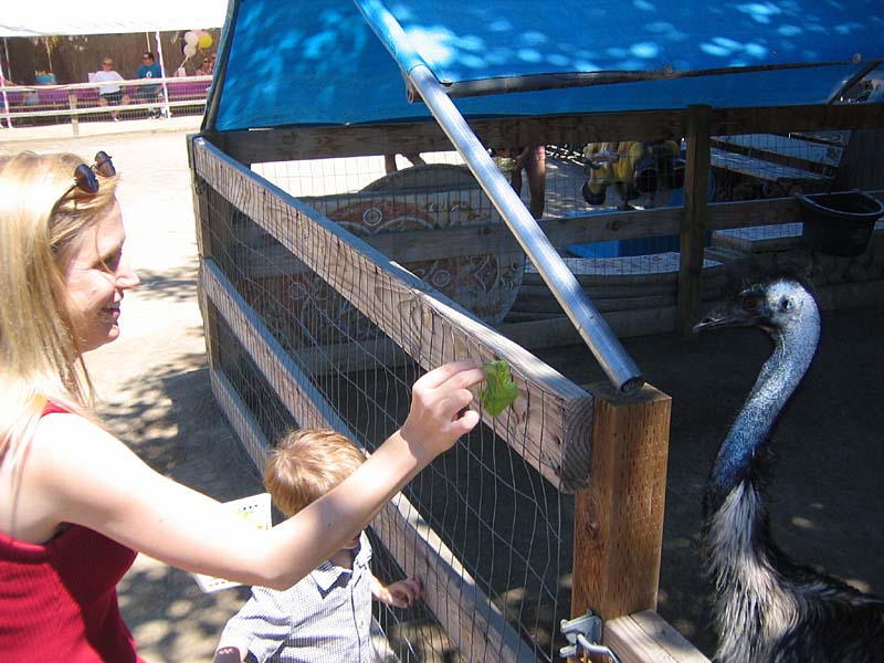 08-17-08_petting-zoo_Severin_32