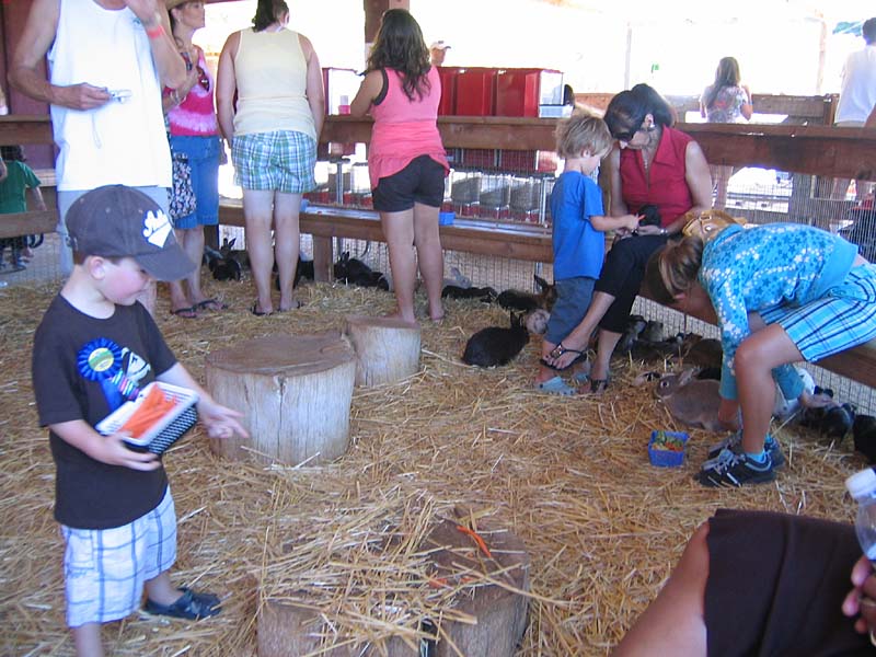 08-17-08_petting-zoo_Severin_39