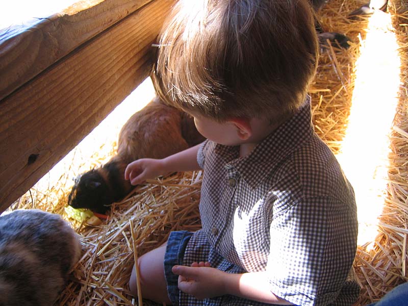 08-17-08_petting-zoo_Severin_40