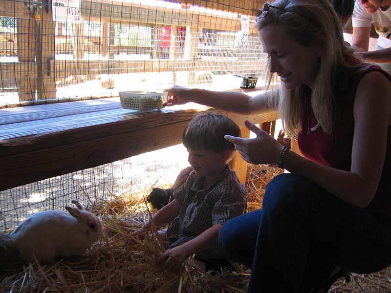08-17-08_petting-zoo_Severin_45