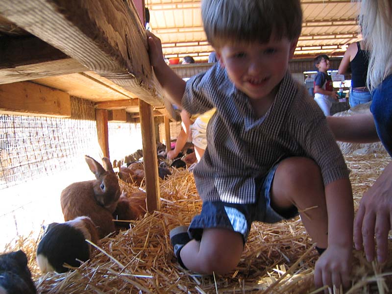 08-17-08_petting-zoo_Severin_48