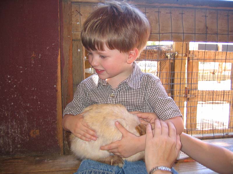 08-17-08_petting-zoo_Severin_49