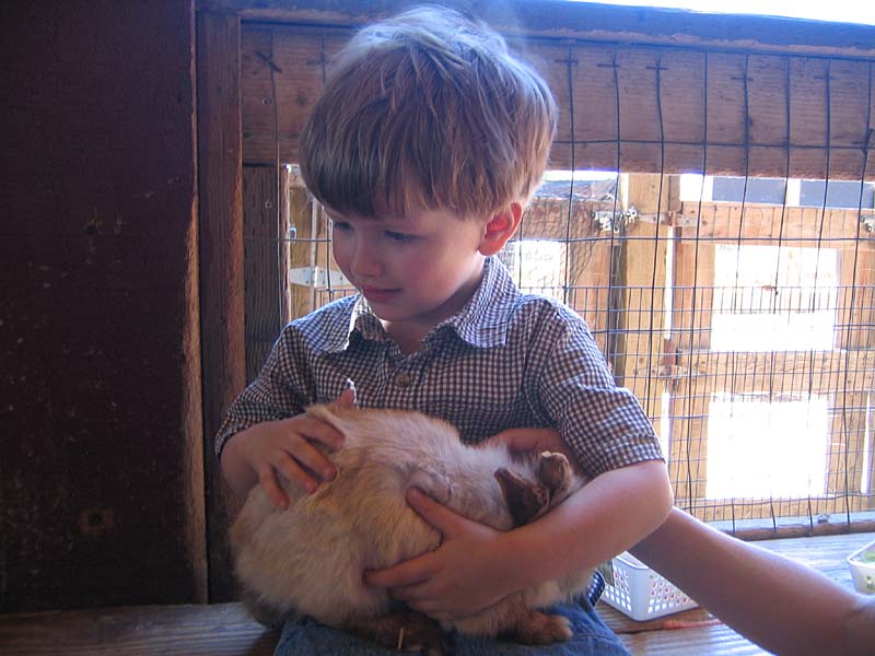 08-17-08_petting-zoo_Severin_50