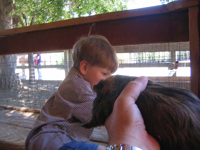 08-17-08_petting-zoo_Severin_51