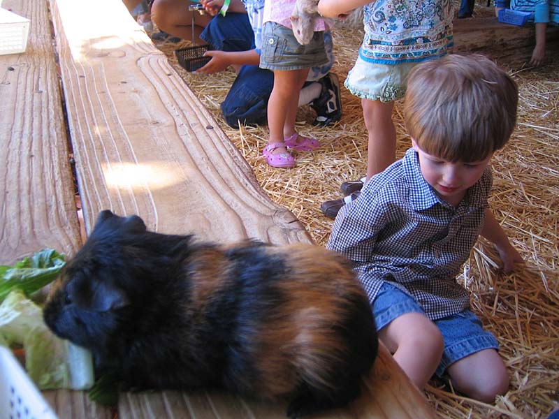 08-17-08_petting-zoo_Severin_54