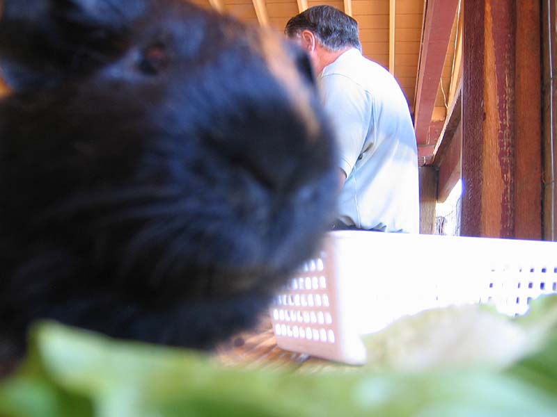 08-17-08_petting-zoo_Severin_62