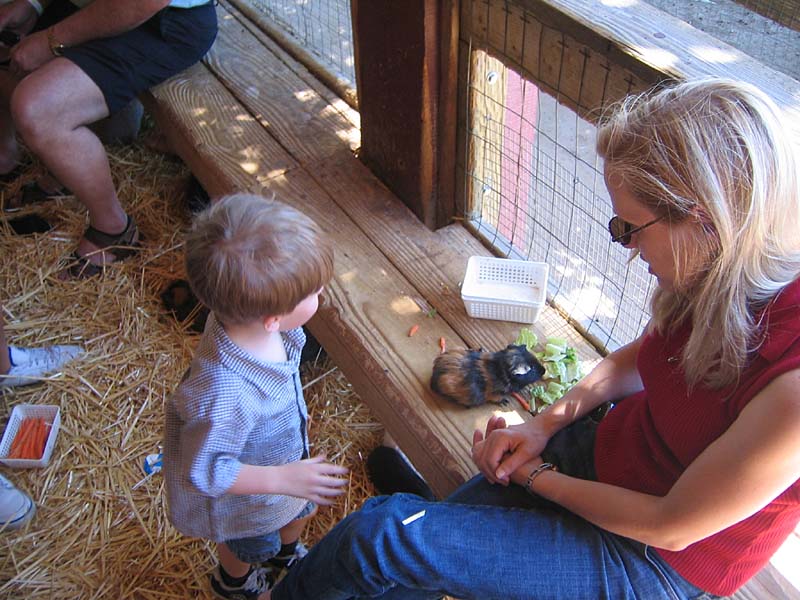 08-17-08_petting-zoo_Severin_71