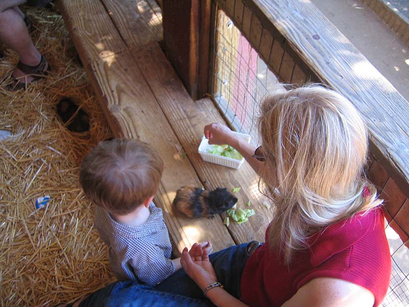 08-17-08_petting-zoo_Severin_73