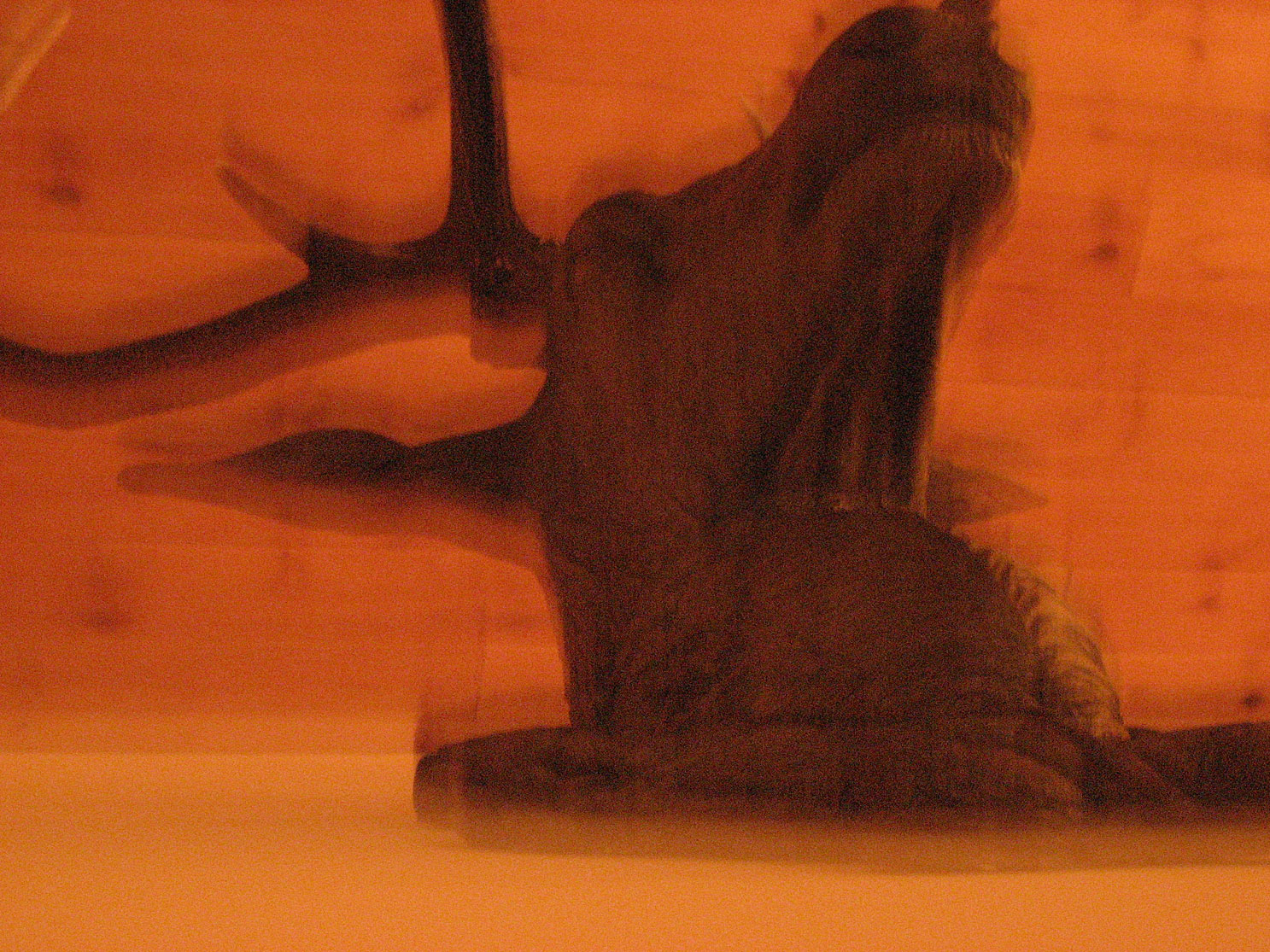 Tahoe-Donner_Feb-07_311