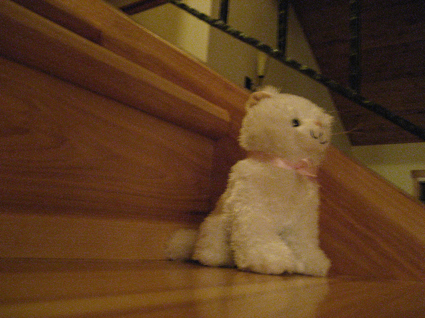 Tahoe-Donner_Feb-07_314