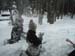 Tahoe-Donner_Feb-07_122