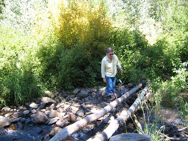 Truckee_37
