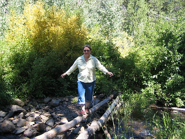 Truckee_38