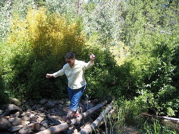 Truckee_39