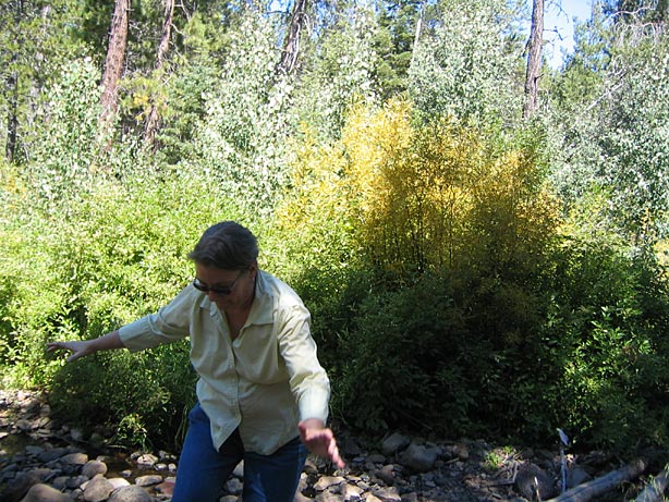 Truckee_40