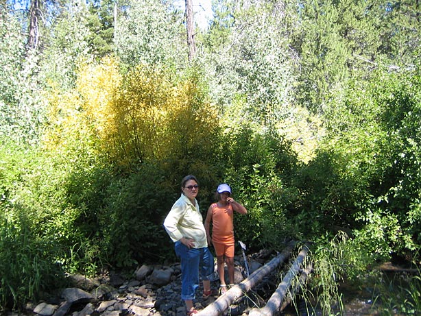 Truckee_44