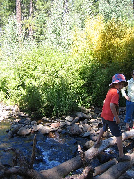 Truckee_45