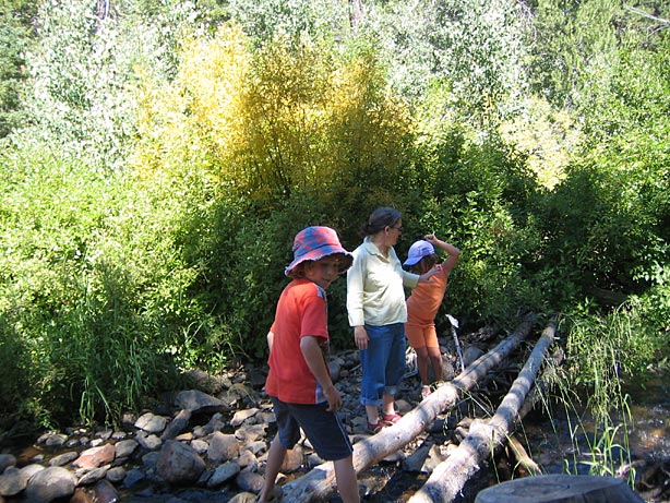 Truckee_46