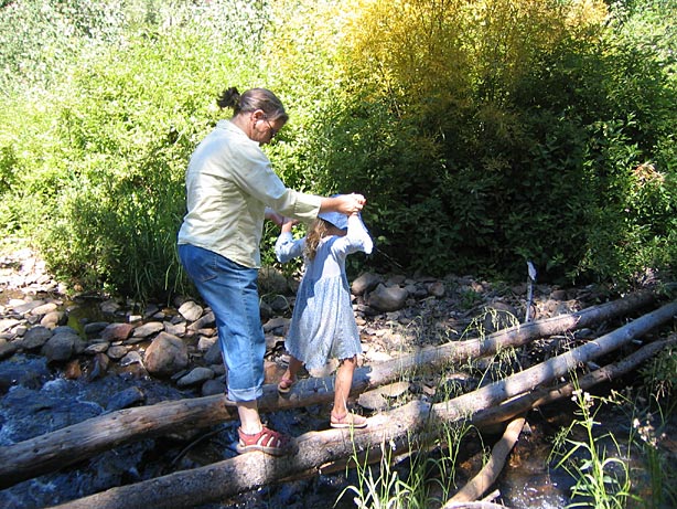 Truckee_48