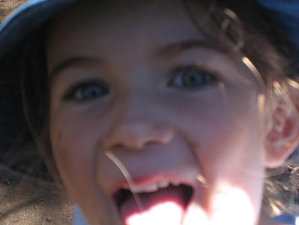 Truckee_64